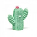 Cactus Lanco
