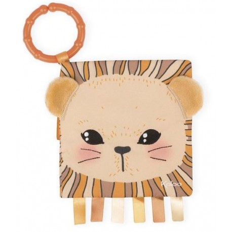 LIBRO DE ACTIVIDADES EL LEON