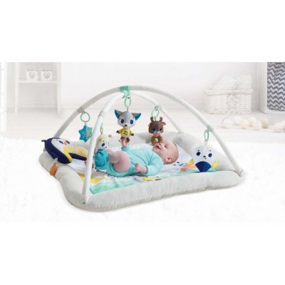 GIMNASIO PLUSH POLAR WONDERS