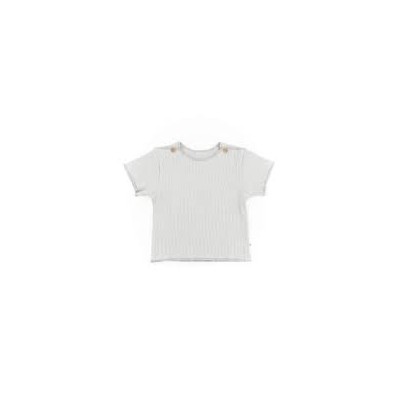 Camiseta MngaCortaPureAzul T3M