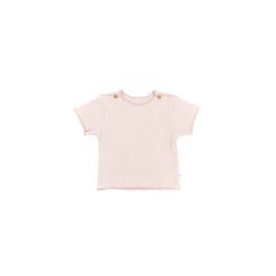 Camiseta MngaCortaPureRosa T3M