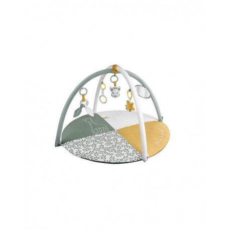 Gimnasio Rev. Sophiela Girafe