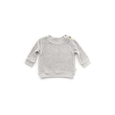 Jersey Terciopelo Gris 1M