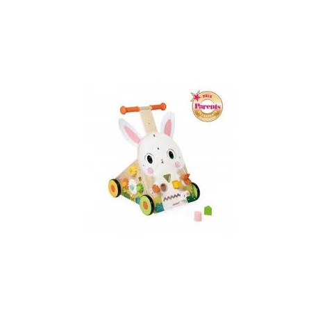 Carro multiactividades conejo 