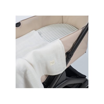 Sabana BajerayMuselina SintraV