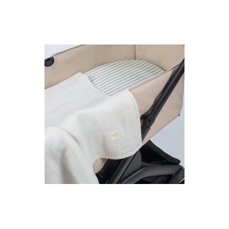 Sabana BajerayMuselina SintraV