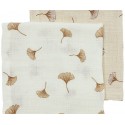 Muselinas Pck 2 120x120 Gingko