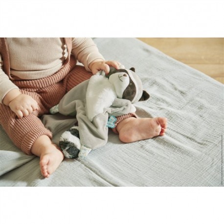 DouDou Mapache Gaston