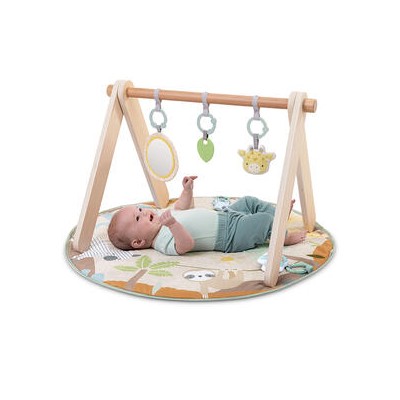 Gimnasio Madera Wonder