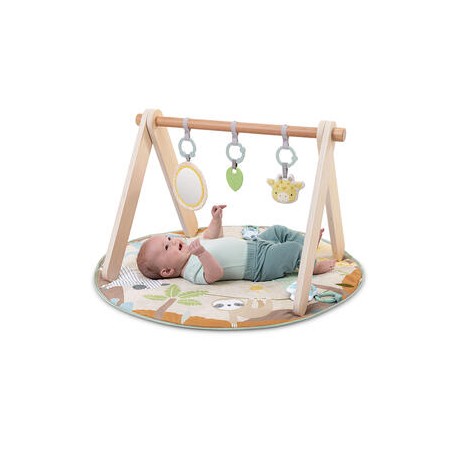 Gimnasio Madera Wonder